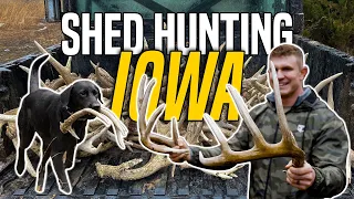 Shed Hunting the Best Farm in IOWA!