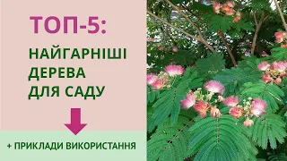 Декоративні дерева для саду: найгарніші та невибагливі