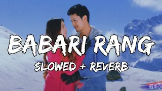 BABARI RANG - SLOWED + REVERB || NEPALI MOVE SONG ||