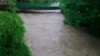 16 июня 2013. Поднятие уровня реки Восточный Дагомыс.