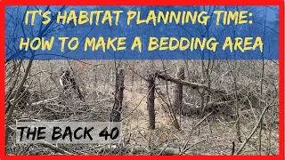 Habitat Planning #6:  How to Make a Deer Bedding Area on Your Property