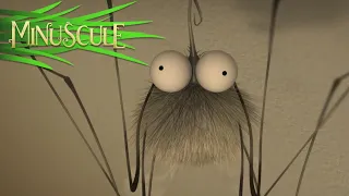 Minuscule - Mosquito net / Moustiquaire (Season 2)