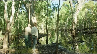 A shining light of hope | How a Riverina couple’s conservation efforts restored river red gum forest
