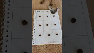 Крестики нолики с собакой/Tic Tac Toe with dog