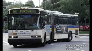 BEE LINE BUSES NEAR WHITE PLAINS BUS TERMINAL NEOPLAN NABI AND ORION