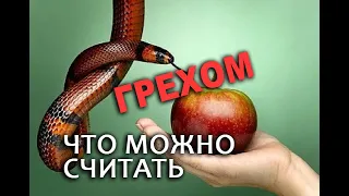 ЧТО МОЖНО СЧИТАТЬ ГРЕХОМ ?