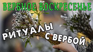 Вербное воскресенье - что нельзя делать, ритуалы с вербой / ГороскопПрогноз