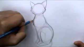 How to draw a basic cat sitting