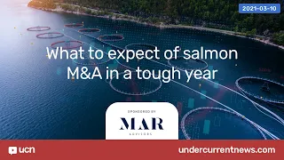 UCN webinar: What to expect of salmon M&A in a tough year