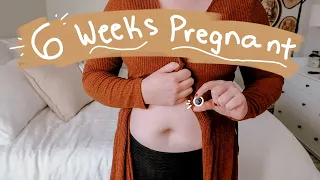 6 WEEKS PREGNANT (UPDATE) - Pregnant with no Symptoms