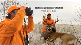 Big Saskatchewan Whitetail