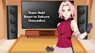 Team Hebi react to Sakura (Sasusaku)