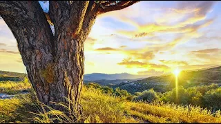 Heaven breathing music | Sacred Melodies | Prayer Music | Come to the Holy Spirit |   relaxing music