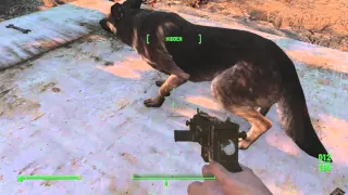 Fallout 4 Max Special EASY! Duplication Glitch Dogmeat Exploit