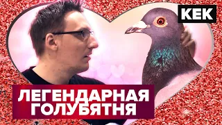 HATOFUL BOYFRIEND / ЛУЧШИЕ МОМЕНТЫ