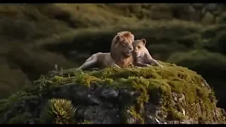 Beyoncé & Donald Glover - Can You Feel The Love Tonight/ From "The Lion King" 2019 Soundtrack