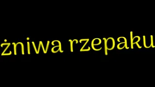 żniwa rzepaku bizonem :) zetor nie daje rady w talerzówce