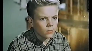 Дым в лесу 1955 VHSRip