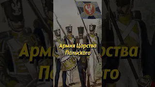 Армия Царства Польского. Мединский #история #россия