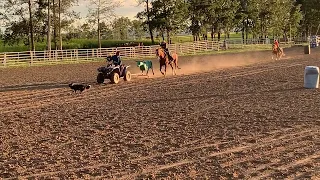 Junior roping sled