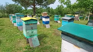 Пчеловодство № 120 Моменты 2021года, что было ещё интересного