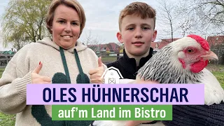 Oles Hühnerschar - Hühnermobil der Extraklasse | Folge 5 | NDR auf'm Land