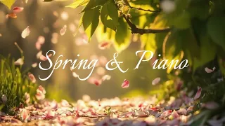 ( 𝕊𝕡𝕣𝕚𝕟𝕘  &  ℙ𝕚𝕒𝕟𝕠 ) 봄이 아직 남았어요. 같이 산책하러 갈래요? 🌺  / 2 hour / Piano/ healing/ Spring/ Flower
