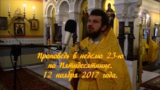 Проповедь в неделю 23-ю по Пятидесятнице. Протоиерей Андрей Кривонис.  2017 год.