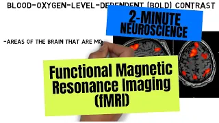 2-Minute Neuroscience: Functional Magnetic Resonance Imaging (fMRI)