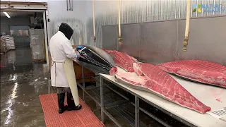 Amazing Automatic Fish Processing Line Machines Modern Technology - Big Catch in The Sea