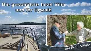 Warum brauchen wir Urwald? - Interview auf der Insel Vilm mit Prof. Knapp