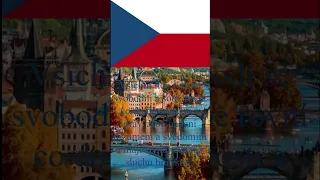 The Czech Language - Česky Jazyk #shorts #czech #czechia #czechrepublic