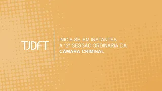 12ª SESSÃO ORDINÁRIA POR VIDEOCONFERÊNCIA DA CÂMARA CRIMINAL