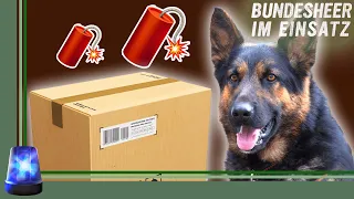 Ein Hund spürt eine BOMBE im Paket auf! 🐕‍🦺🧨📦 Was ist zu tun? | Bundesheer im Einsatz | ATV