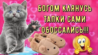 Позитивчик для Моих Друзей! Классная и Весёлая Музыкальная Открытка для Настроения! Улыбнись!