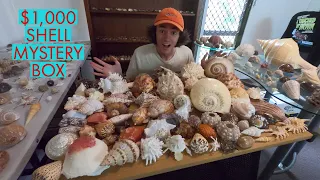 UNBOXING A $1,000 SEASHELL MYSTERY BOX! I Episode 57