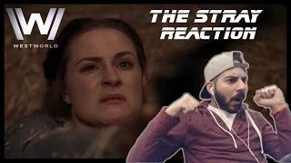 Westworld Season 1 Episode 3 "The Stray" REACTION! 1x3
