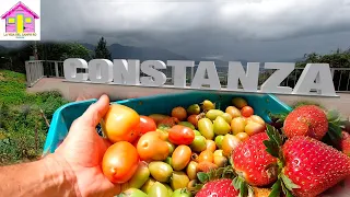 RUTA JARABACOA A CONSTANZA LA VIDA DEL CAMPO RD