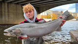 Urban Steelhead Centerpin Fishing