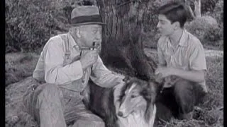 Lassie - Episode 101 - "The Apple Tree" - Season 3, #36 (05/12/57)