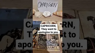 CAPRICORN ❤️ SOMEONE WANTS TO APOLOGISE TO YOU ❤️ 2ND FEBRUARY 2023 LOVE TAROT GUIDE