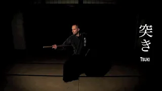 HANBOJUTSU