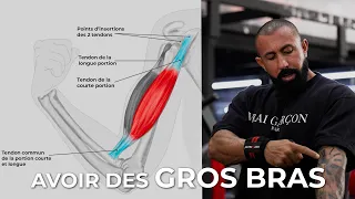 COMMENT AVOIR DE GROS BRAS ? BICEPS