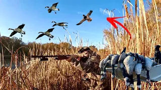 INSANE DUCK HUNTING Opener! AWESOME Mixed bag with SUPRISE LIMITS! (PUBLIC LAND LOAD SLOUGH)