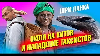 Шри-Ланка 2020. Охота на китов, сломанное колено и рыбалка на шестах. Пик Адама. Мирисса Влог