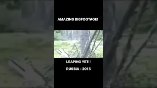 Proof of Bigfoot? Is this the best footage of all time? #bigfoot #yeti #paranormal