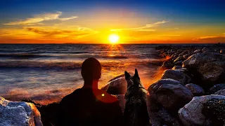 Stranger On The Shore ~ Acker Bilk [HD]