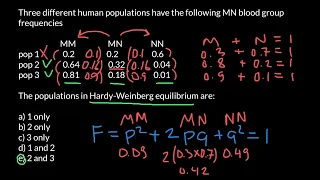 How to find if population in Hardy-Weinberg equilibrium?