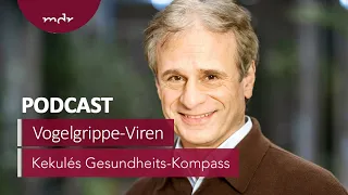 Vogelgrippe-Viren in Kuhmilch: Droht eine neue Pandemie? | Podcast Kekulés Gesundheits-Kompass | MDR
