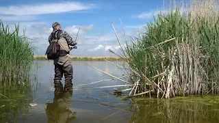 ЗАПРЕЩЁННАЯ СНАСТЬ в Украине для ЛОВЛИ ОКУНЯ и ЩУКИ.